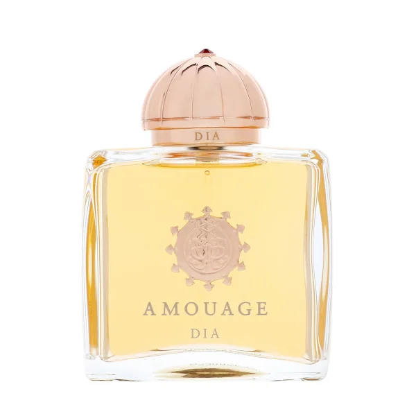 AMOUAGE DIA W 100ML